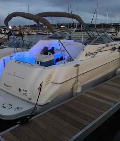 Resting not Working on a Sea Ray 270